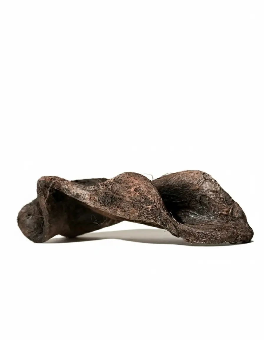 گردنبند خاص دستساز پاپیه ماشه گردنبند هنری پاپیه ماشه با بافت برجسته قهوهای سوخته و فرم پیچخورده انتزاعی در پسزمینه سفید